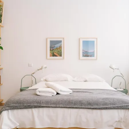 Apartment Serenity Loft. Porto